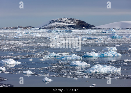 Eisberg beladen Meer in die Meerenge in Richtung Isla Hovgaard Antarktis penola Stockfoto