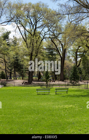 Arthur Ross Pinetum im Central Park, New York, USA Stockfoto