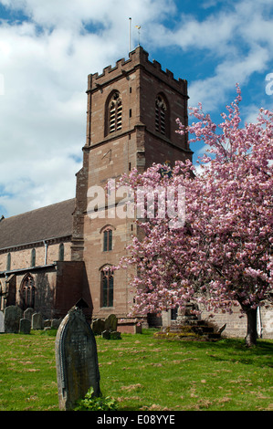 St.-Bartholomäus Kirche, viel Marcle, Herefordshire, England, Vereinigtes Königreich Stockfoto