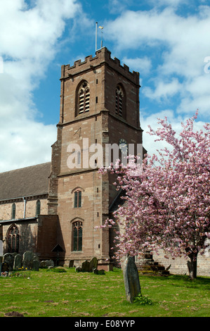 St.-Bartholomäus Kirche, viel Marcle, Herefordshire, England, Vereinigtes Königreich Stockfoto