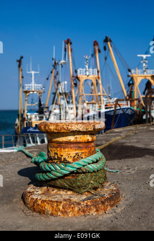 Angelboote/Fischerboote gefesselt in Kilmore Quay, Wexford, Irland Stockfoto