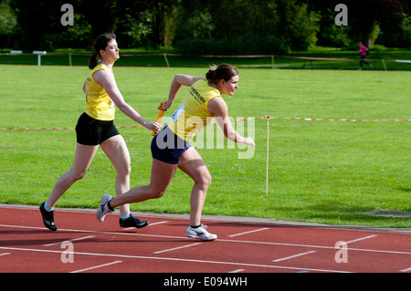 Leichtathletik, Läufer vorbei Baton in Frauen 4X400m Staffelrennen auf Vereinsebene, UK Stockfoto