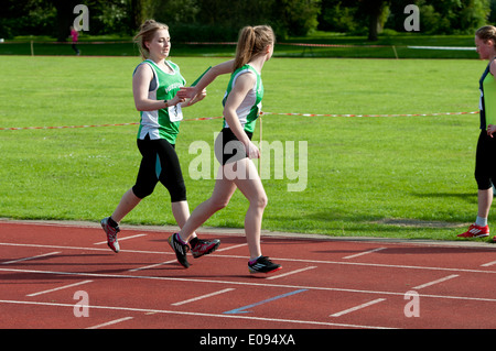 Leichtathletik, Läufer vorbei Baton in Frauen 4X400m Staffelrennen auf Vereinsebene, UK Stockfoto