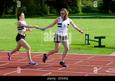 Leichtathletik, Läufer vorbei Baton in Frauen 4X400m Staffelrennen auf Vereinsebene, UK Stockfoto