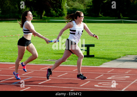 Leichtathletik, Läufer vorbei Baton in Frauen 4X400m Staffelrennen auf Vereinsebene, UK Stockfoto