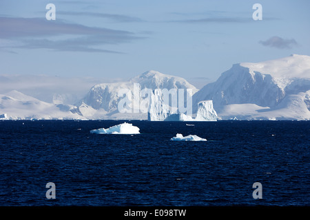 Eisberge schwimmen im tiefblauen Meer vor der Küste der antarktischen Halbinsel Antarktis Stockfoto