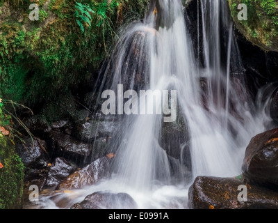 Ein Bach mit Steinen und fließend Wasser. Landschaft-Erlebnis in der Natur., Ein Bach Mit Steinen Und Fliessendem Wasser. Basel-Landschaft Stockfoto