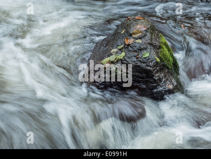 Ein Bach mit Steinen und fließend Wasser. Landschaft-Erlebnis in der Natur., Ein Bach Mit Steinen Und Fliessendem Wasser. Basel-Landschaft Stockfoto