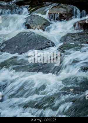 Ein Bach mit Steinen und fließend Wasser. Landschaft-Erlebnis in der Natur., Ein Bach Mit Steinen Und Fliessendem Wasser. Basel-Landschaft Stockfoto