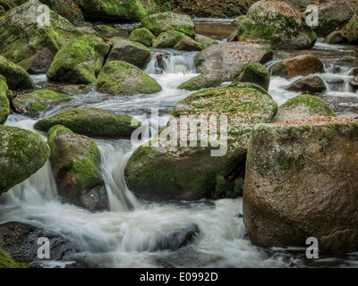 Ein Bach mit Steinen und fließend Wasser. Landschaft-Erlebnis in der Natur., Ein Bach Mit Steinen Und Fliessendem Wasser. Basel-Landschaft Stockfoto