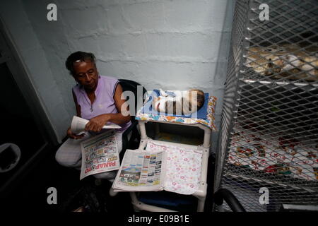 Panama City, Panama. 6. Mai 2014. Esther del Rio, ein freiwilliger seit über 5 Jahren kümmert sich der Katzen zur Adoption in der "Spay Panama" Stiftung in Panama-Stadt, Hauptstadt von Panama, am 6. Mai 2014. "Spay Panama" ist eine Stiftung, deren Aufgabe es ist, das Elend und die unnötigen Tod Straßentiere, mithilfe einer intensiven Sterilisationsprogramm zu steuern. Mit einem Durchschnitt von 50 tägliche Sterilisationen, die "Spay Panama" Stiftung bringt seine größte Unterstützung von den Freiwilligen, die die verschiedenen der Stiftung Aufgaben. © Mauricio Valenzuela/Xinhua/Alamy Live-Nachrichten Stockfoto