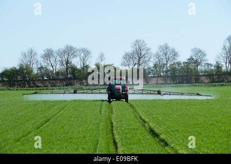 Traktor Fungizid mit Einheit auf Getreide Spritzen auftragen. Stockfoto