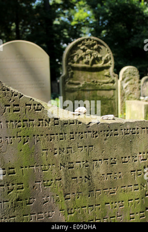 Neuer jüdischer Friedhof, Kazimierz Krakau, Polen Stockfoto