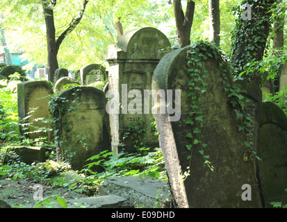 Neuer jüdischer Friedhof, Kazimierz Krakau, Polen Stockfoto