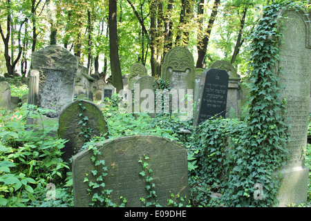 Neuer jüdischer Friedhof, Kazimierz Krakau, Polen Stockfoto
