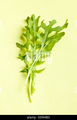 Rucola Blätter auf grünem Hintergrund Stockfoto