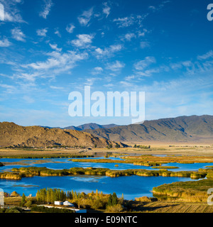 Schilf und See im Herbst Stockfoto