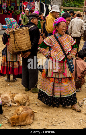 Blume Hmong Frau verkaufen Hunde am Sonntagsmarkt In Bac Ha, Provinz Lao Cai, Vietnam Stockfoto