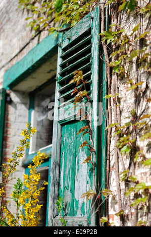 alte Fensterläden auf einem belgischen Bauernhaus Stockfoto