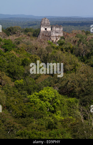 Tempel ich & II erhebt sich über dem Dschungel Baldachin, Tikal, Guatemala Stockfoto