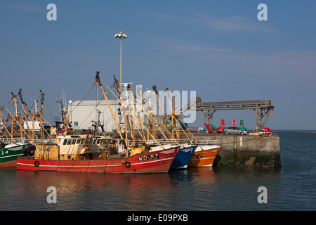 Angelboote/Fischerboote gefesselt in Kilmore Quay, Wexford, Irland Stockfoto