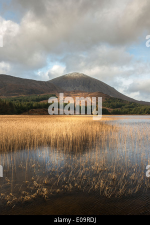 Ein Blick auf Beinn Na Caillich von Loch Cill Chriosd, Isle Of Skye, Schottland Stockfoto