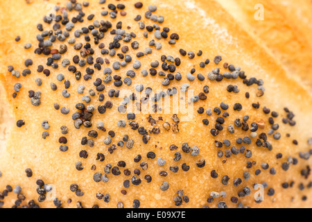 Weißbrot mit Mohn Closeup Stockfoto