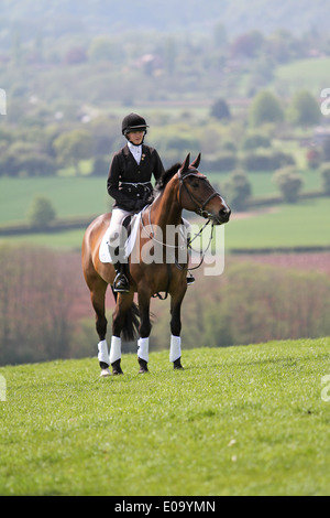 Pferd und Reiter stehen entspannt auf einer lokalen Messe Stockfoto