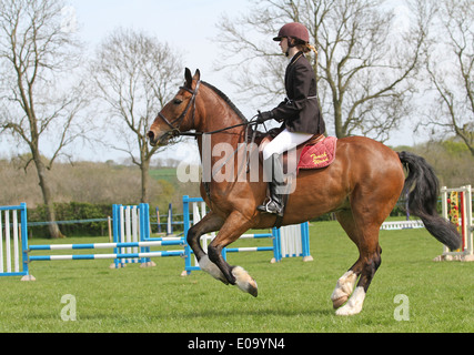 Reiter und Pferd Trab um einen Ring auf einer lokalen Messe Stockfoto