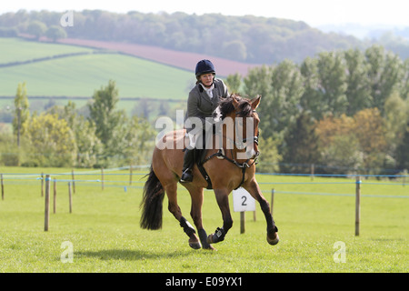 Reiter und Pferd Trab um einen Ring auf einer lokalen Messe Stockfoto