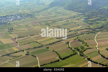 Luftaufnahmen des Weinbaus, 17.04.2014 Stockfoto