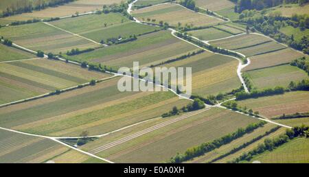 Luftaufnahmen des Weinbaus, 17.04.2014 Stockfoto