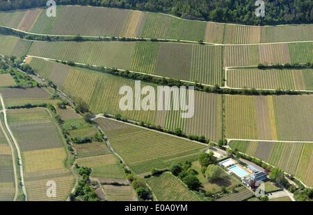 Luftaufnahmen des Weinbaus. 17.04.2014 Stockfoto