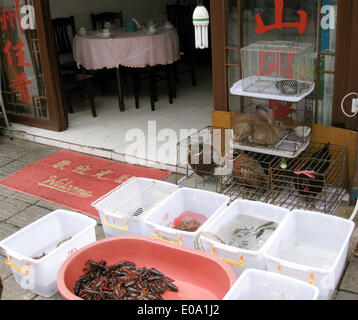 (Datei) - eine Archiv-Bild vom 24. September 2009, zeigt verschiedene lebende Tiere in Käfigen und Kunststoffbehälter vor einem Restaurant in Huangshan City, China gehalten werden. Die Tiere werden geschlachtet und serviert auf Sonderbestellungen von Restaurant-Kunden. Huangshan City ist eine Stadtgemeinde in der Provinz Anhui, umfasst der Huang Shan (gelbe Berge) als Bestandteil der Verwaltungsbezirk. Foto: Alexandra Schuler - kein Draht-Dienst- Stockfoto