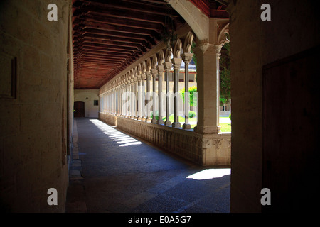 Der Kreuzgang im Kloster des Heiligen Franziskus in Palma, Mallorca, Spanien Stockfoto