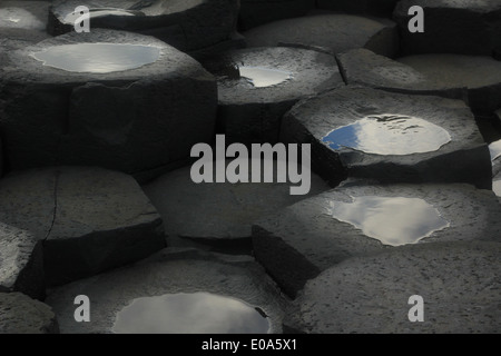 Giant's Causeway - berühmte Besucher Website in Nordirland (UK) vulkanischen Basaltsteinen Stockfoto