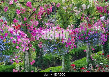 Bunte Petunien Pflanzer im Sommergarten Stockfoto