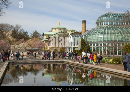 Menschen genießen Sie einen schönen Frühlingstag in Magnolia Plaza im Brooklyn Botanic Garden, Brooklyn, NY Stockfoto