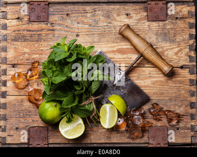 Zutaten für die Herstellung von Eiswürfeln, Mojitos Minze Blätter und lime on White Stockfoto