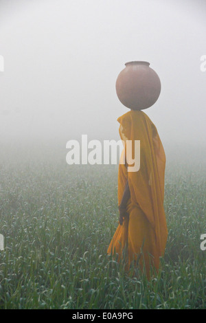 Frau im Sari Wasserholen an einem nebligen Morgen in Indien Stockfoto