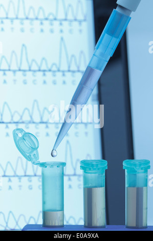 Genforschung Mikropipette Füllung Eppendorf Mikrozentrifugenröhrchen gebräuchlich in der biochemischen und biologischen Forschung Stockfoto