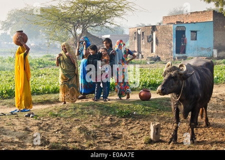 Dorfbewohner und Wasserbüffel vor Haus, Nagla Kachhpura, Agra, Indien Stockfoto