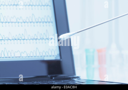 Wattestäbchen mit Speichel vor einem Laptopbildschirm, der Ergebnisse der automatischen DNA-Sequenzierung Stockfoto