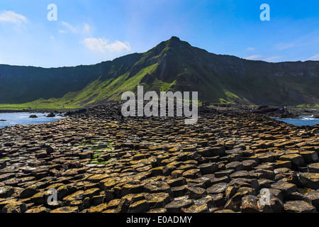 Giant s Causeway Nordirland County Antrim Stockfoto