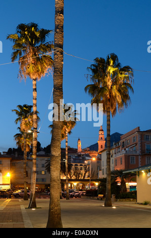 Menton Altstadt oder historischen Bezirk und Avenue der Palmen in der Nacht Alpes-Maritimes Provence-Alpes-Côte d'Azur Frankreich Stockfoto