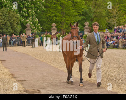 Badminton, UK. 7. Mai 2014. Bild: Badminton Horse Trials UK-Mai 07: Pferde Parade für Tierärzte Inspektion. Datum 05.07.2014 Ref: Credit: Charlie Bryan/Alamy Live News Stockfoto