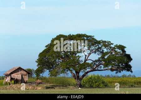 Dorf am Ufer des Kaladan River, Sittwe, Rakhine State in Myanmar Stockfoto