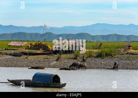 Dorf und Boot am Ufer des Kaladan River, Sittwe, Rakhine State in Myanmar Stockfoto