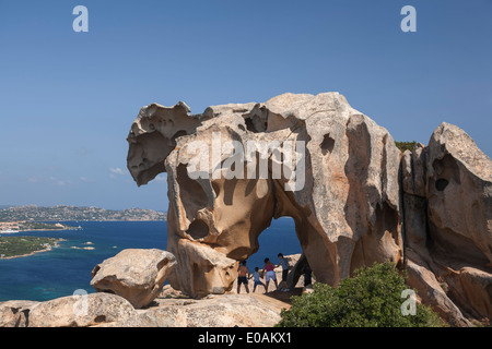 Italien-Sardinien-Boccia Dell Elefante Elephant rock Stockfoto