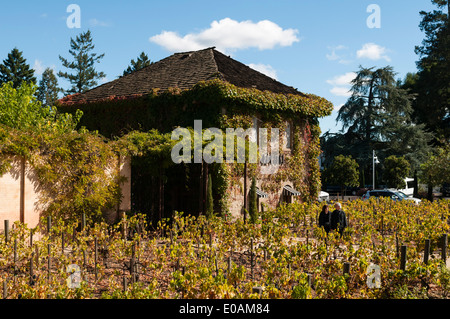 Napa Valley, Kalifornien, USA Stockfoto